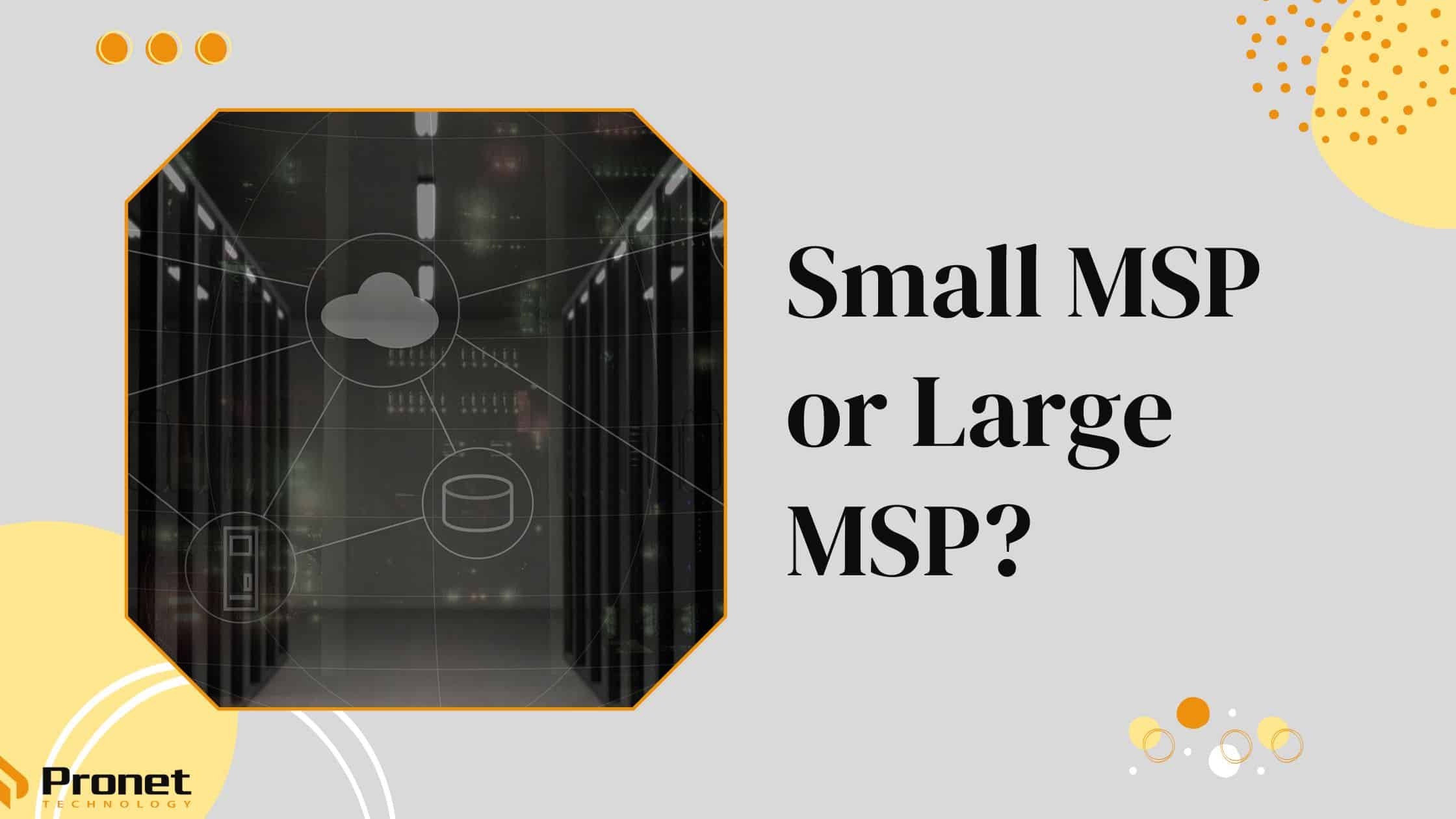 Small MSP vs Large MSP